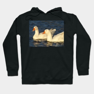 Geese Hoodie